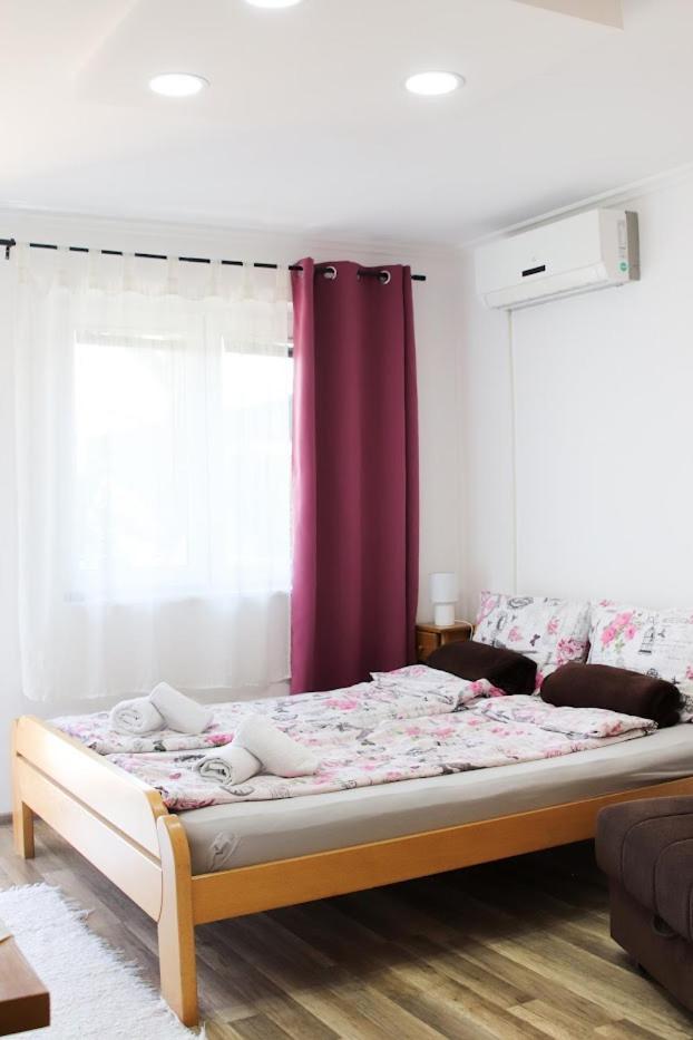 Charming Studio Masa Palić エクステリア 写真